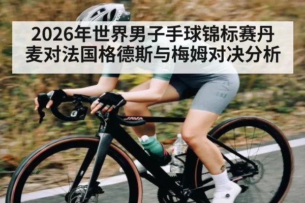 2026年世界男子手球锦标赛丹麦对法国格德斯与梅姆对决分析